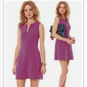 Lilly Pulitzer Brielle Hotty Pink Ottoman Stripe Stretch Fit Flare Dress Size M